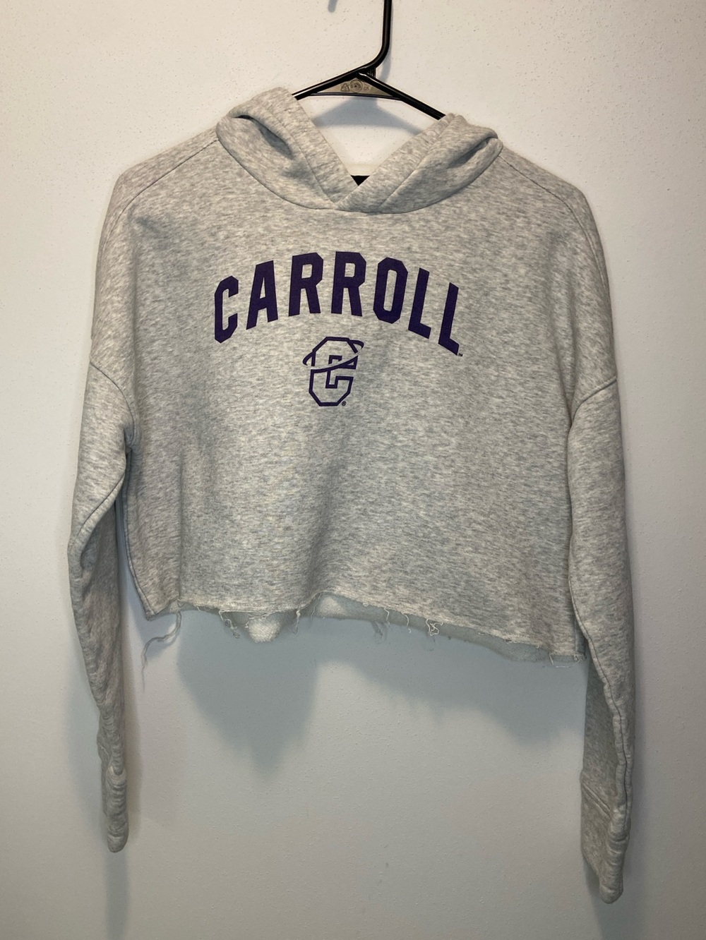 Carroll College Cropped Hooded Sweatshirt in Light Gray